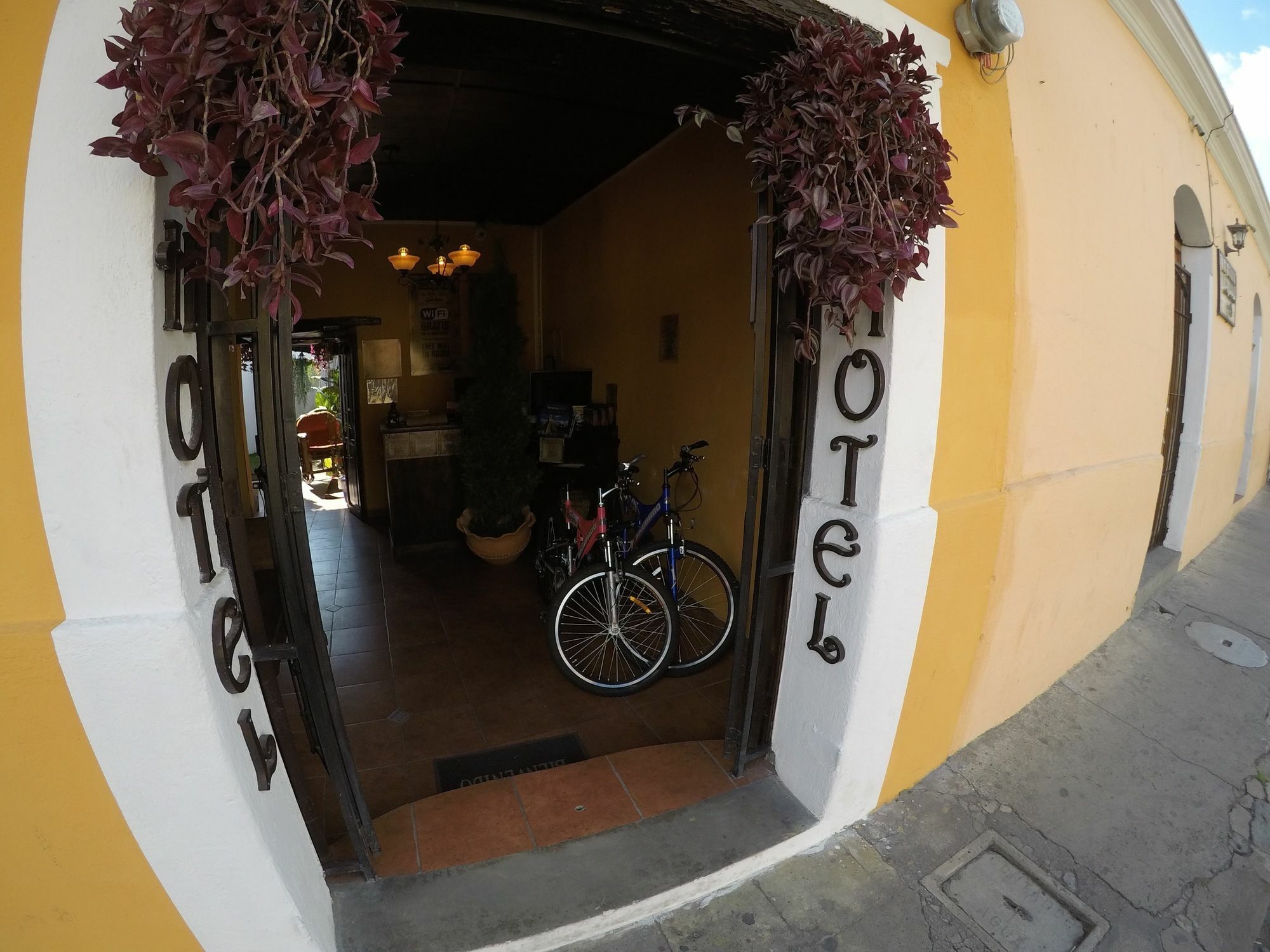 Garden Hotel Antigua ภายนอก รูปภาพ